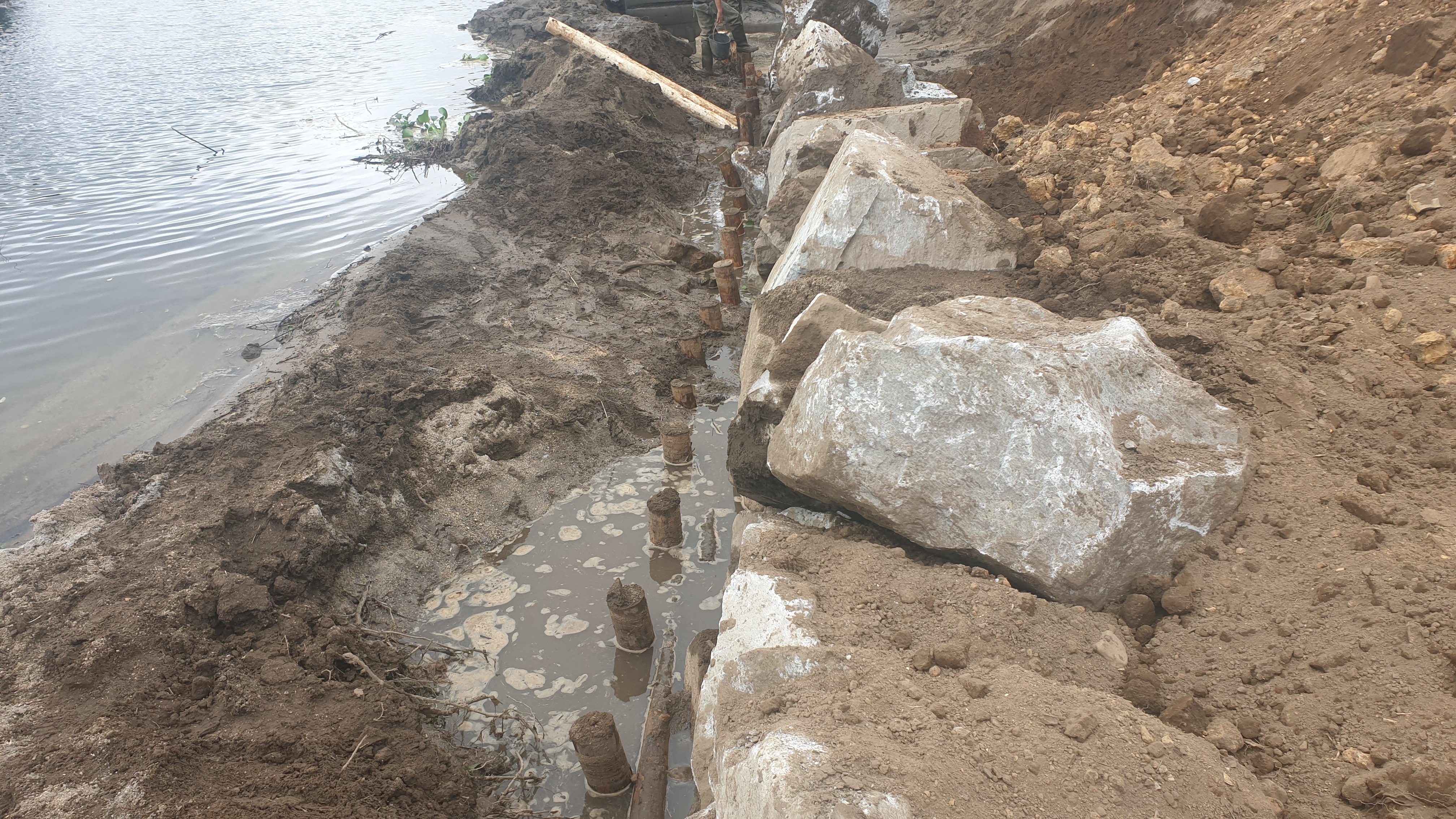 Requalificação das Margens do Rio Vouga